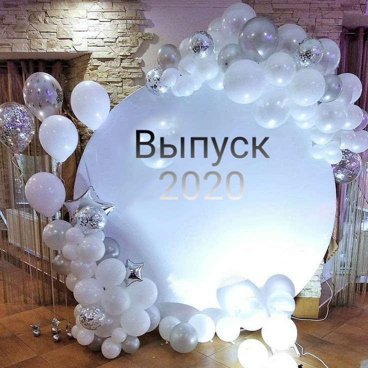 1110-0011 Фотозона из воздушных шаров, размер 200 на 200 см